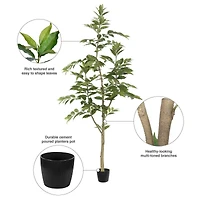 7ft. Potted Green Nandina Tree