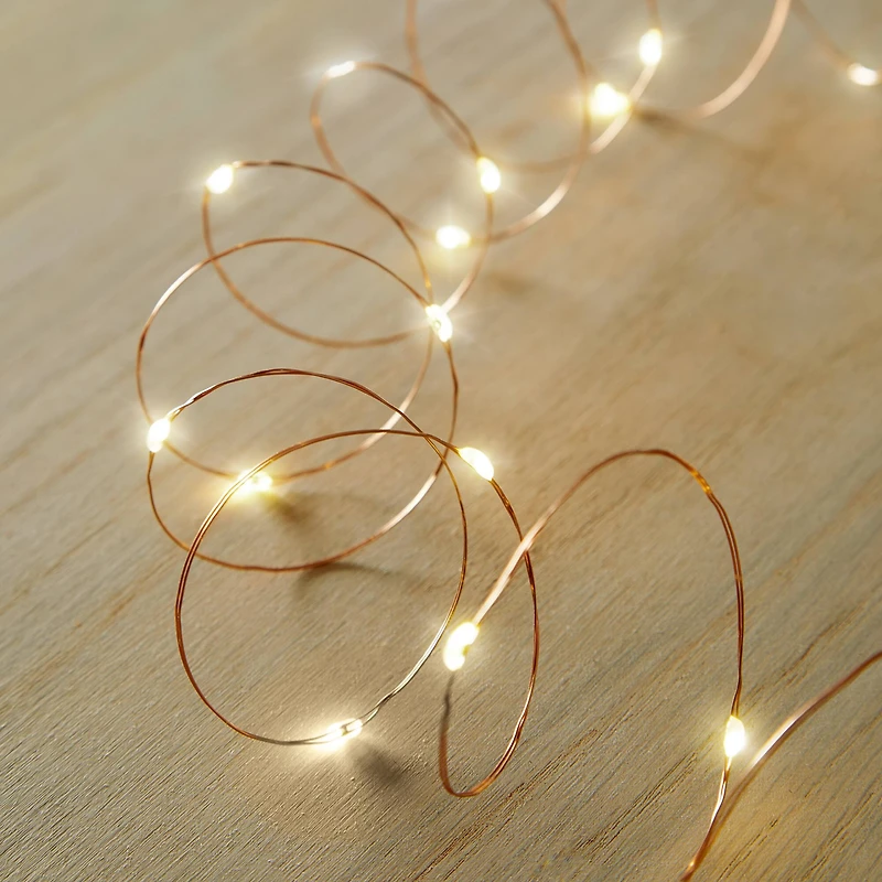 50ct. Amber/Warm White LED String Lights by Ashland®