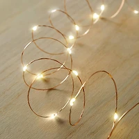 50ct. Amber/Warm White LED String Lights by Ashland®