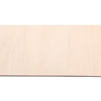 12 Pack: Basswood Surface by Make Market