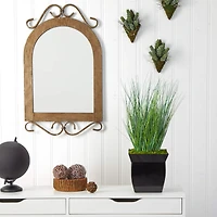 21" Onion Grass Plant in Black Metal Planter