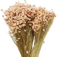 13" Campo Flowers by Ashland