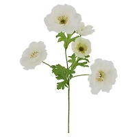 25" White Ranunculus Stem by Ashland®