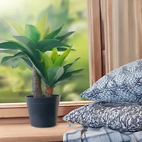 20" Potted Green Agave Plant by Ashland®