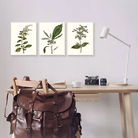 Stupell Industries Minimal Blue Botanical Study Over Neutral Beige in Frame Wall Art