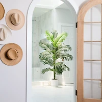 6ft. Artificial Paradise Palm with White Decorative Planter
