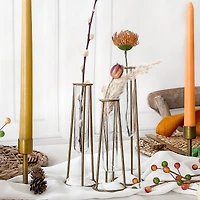 Kate Aspen® Test Tube Flower Vase Set