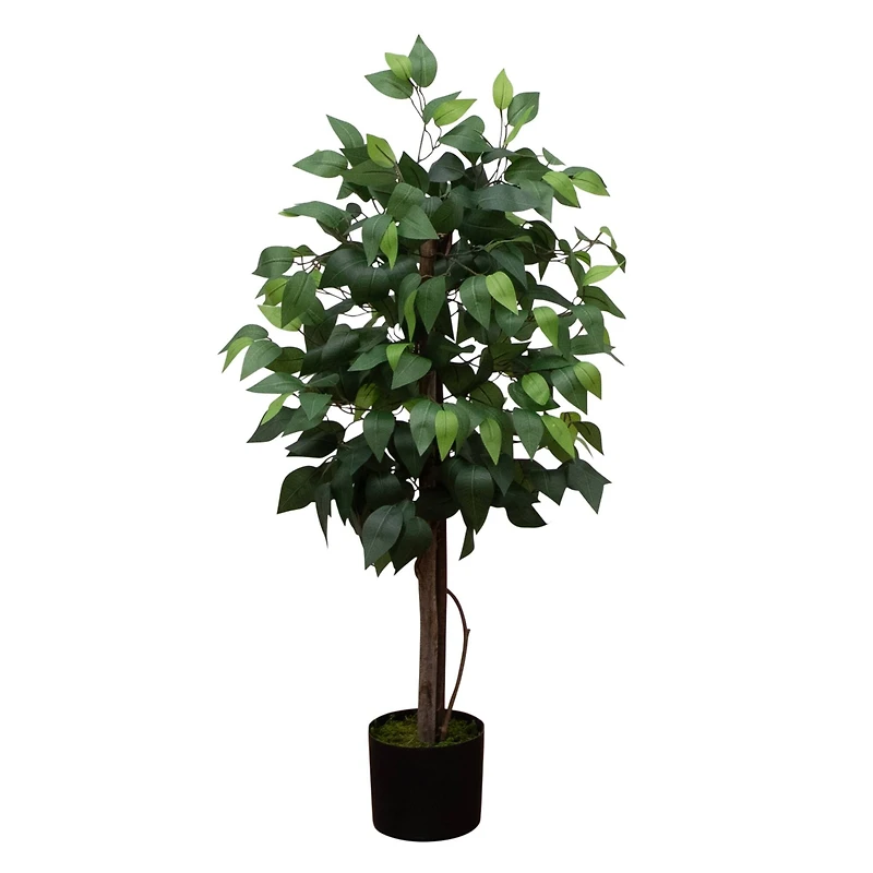3ft. Artificial Double Trunk Ficus Tree