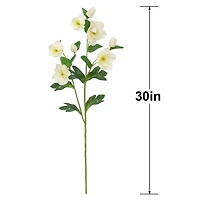 30" Cream Helleborus Stem by Ashland®