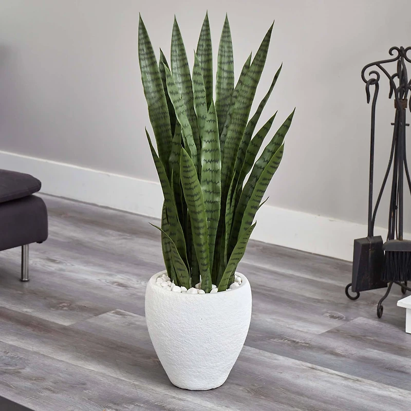 3.5ft. Snake Plant in White Planter