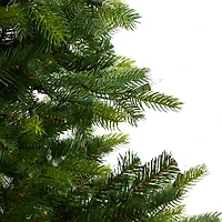 6ft. Pre-Lit North Carolina Spruce Artificial Christmas Tree, Clear Lights