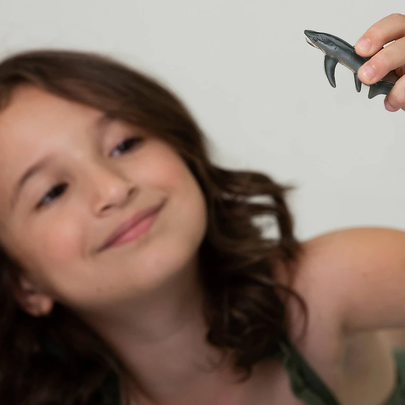 Safari Ltd® TOOB® Sharks