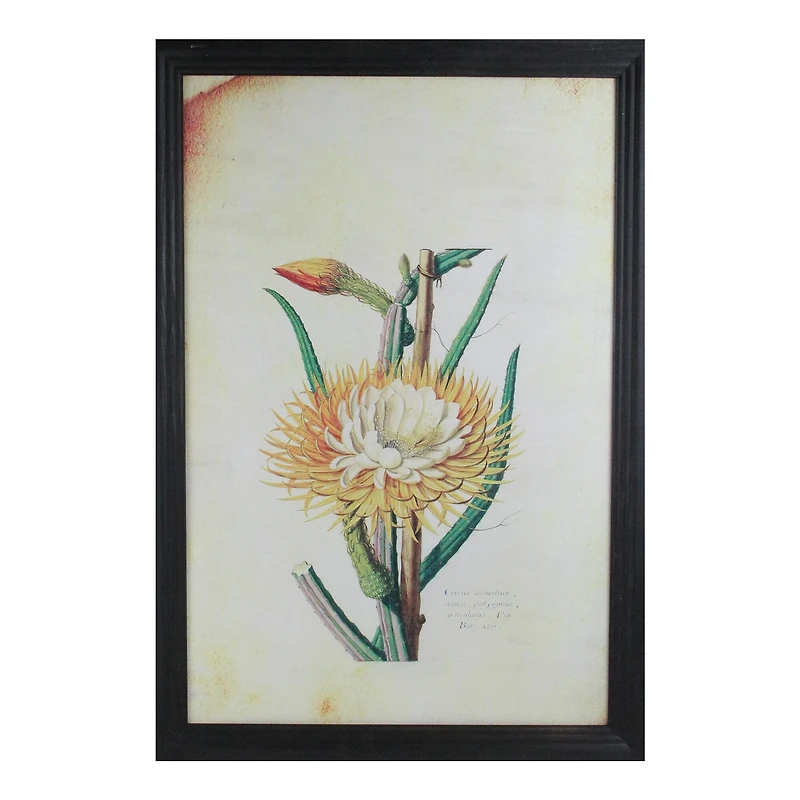 26" Yellow & Green Desert Baileya Flower Framed Wall Art