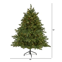 6ft. Pre-Lit Wyoming Mixed Pine Artificial Christmas Tree, Clear LED Lights
