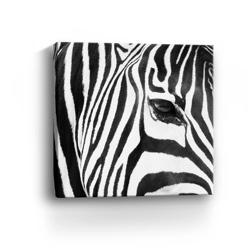 Zebra Up Close Canvas Giclee
