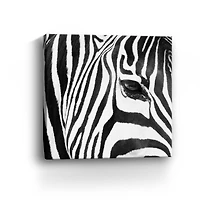 Zebra Up Close Canvas Giclee