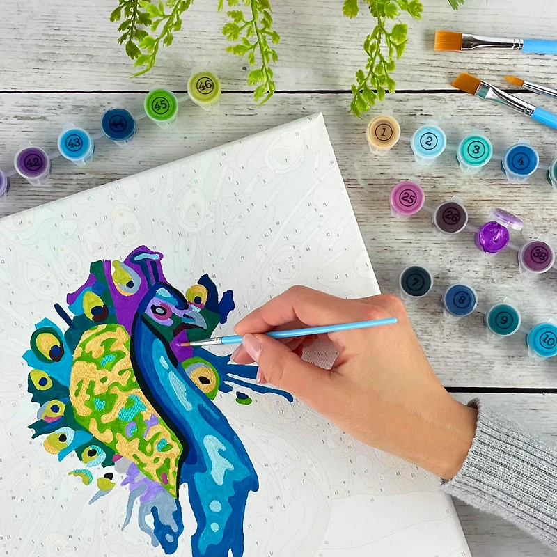 ArtSkills® Premium Peacock Paint-by-Number Kit