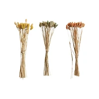 Hello Honey® 19.5" Dried Natural Canary Grass Bunch, 3ct.