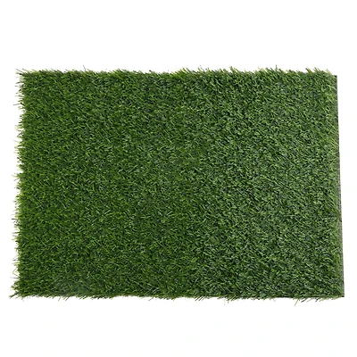Green Grass Placemat by Celebrate It™