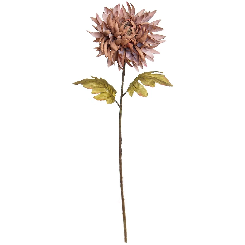 31" Brown Crab Mum Stem by Ashland®