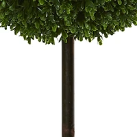 3.5ft. Potted Boxwood Double Ball Topiary Tree