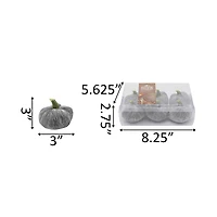 Flora Bunda® Gray Velvet Pumpkins, 6ct.
