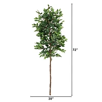 6ft. Artificial Ficus Tree