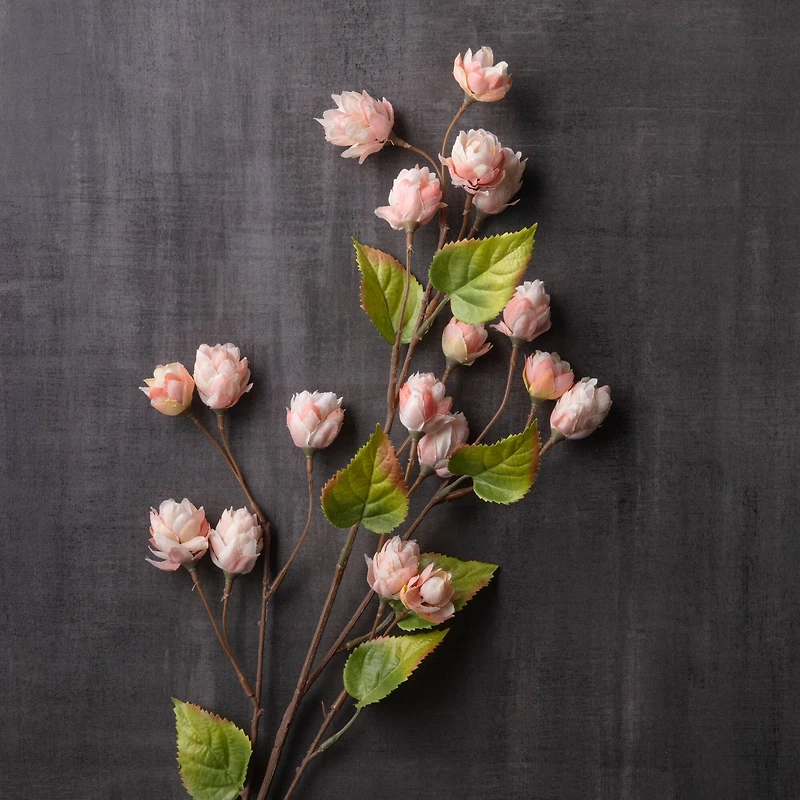 Blush Hops Stem by Ashland®