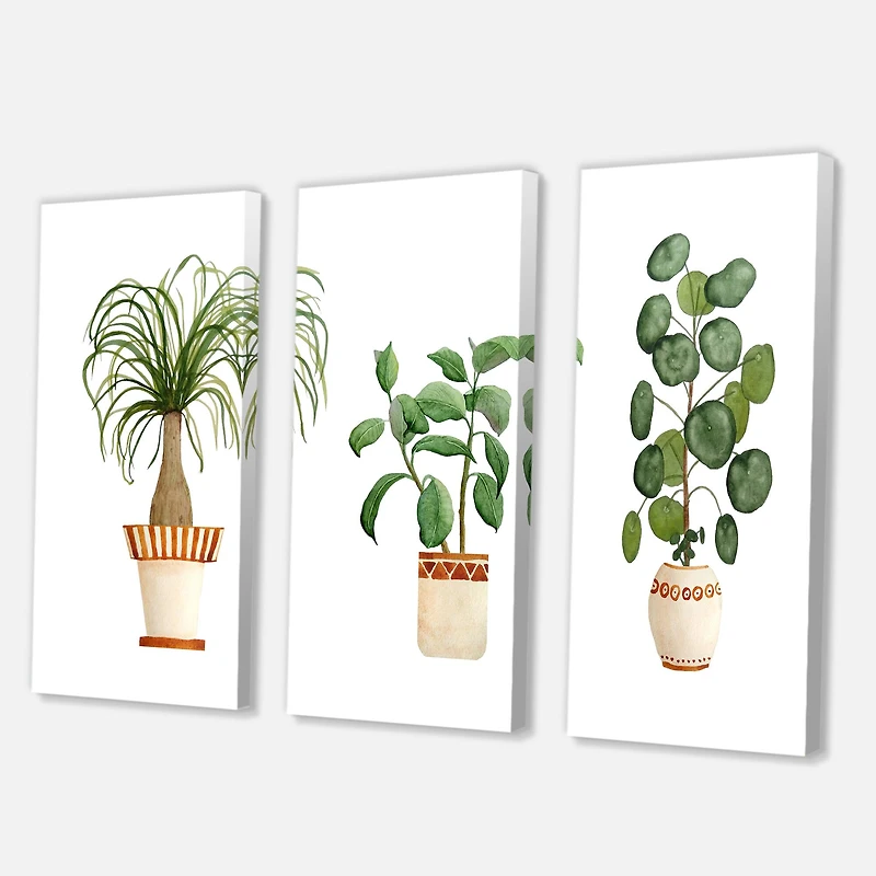 Designart - Trio of House Plants Ponytail Palm and Ficus