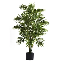 3ft. Potted Areca Palm Tree