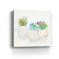 Sweet Succulent Pots IV Canvas Giclee