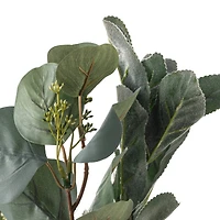 Silver Dollar & Lamb's Ear Bush by Ashland®