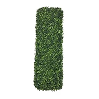 2ft. Boxwood Hedge