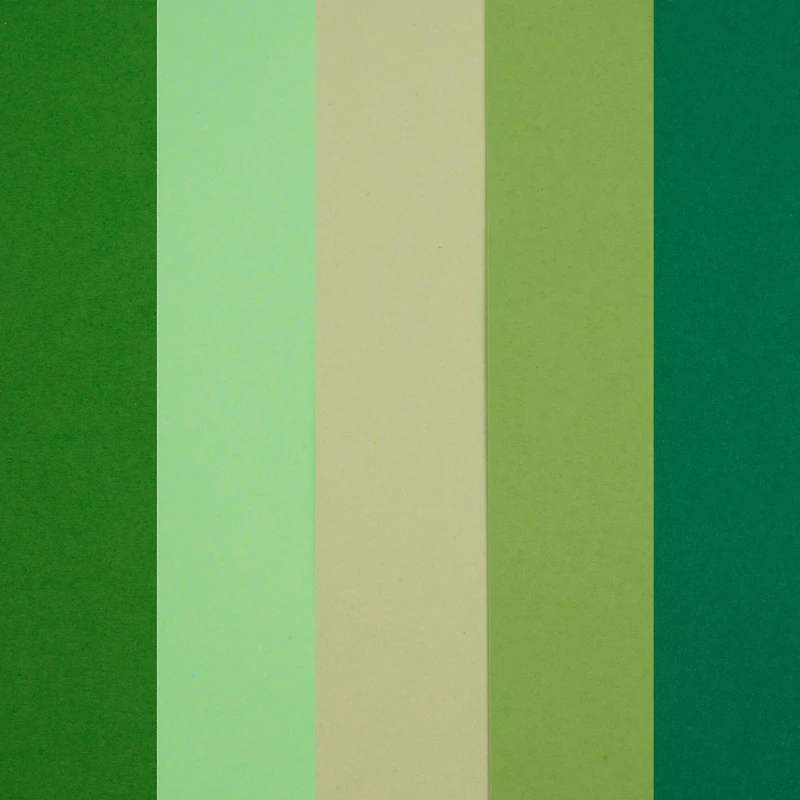 12 Pack: Forest Cardstock Paper Pad by Recollections™, 8.5" x 11"