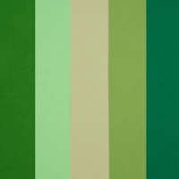 12 Pack: Forest Cardstock Paper Pad by Recollections™, 8.5" x 11"