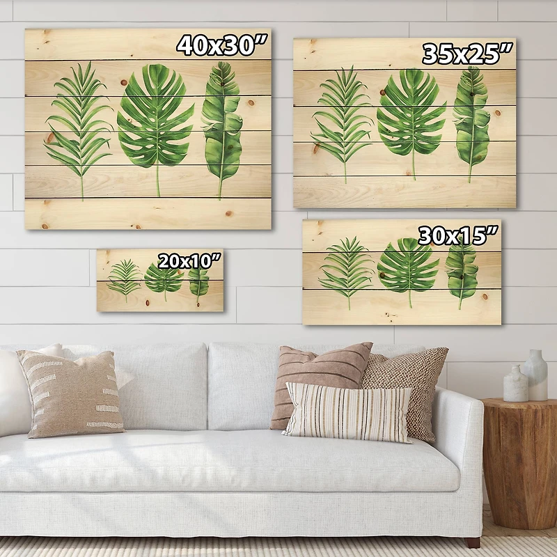 Designart - Tropical Leaf Of Monstera IV