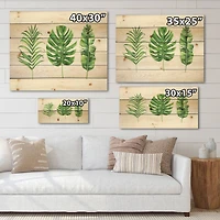 Designart - Tropical Leaf Of Monstera IV