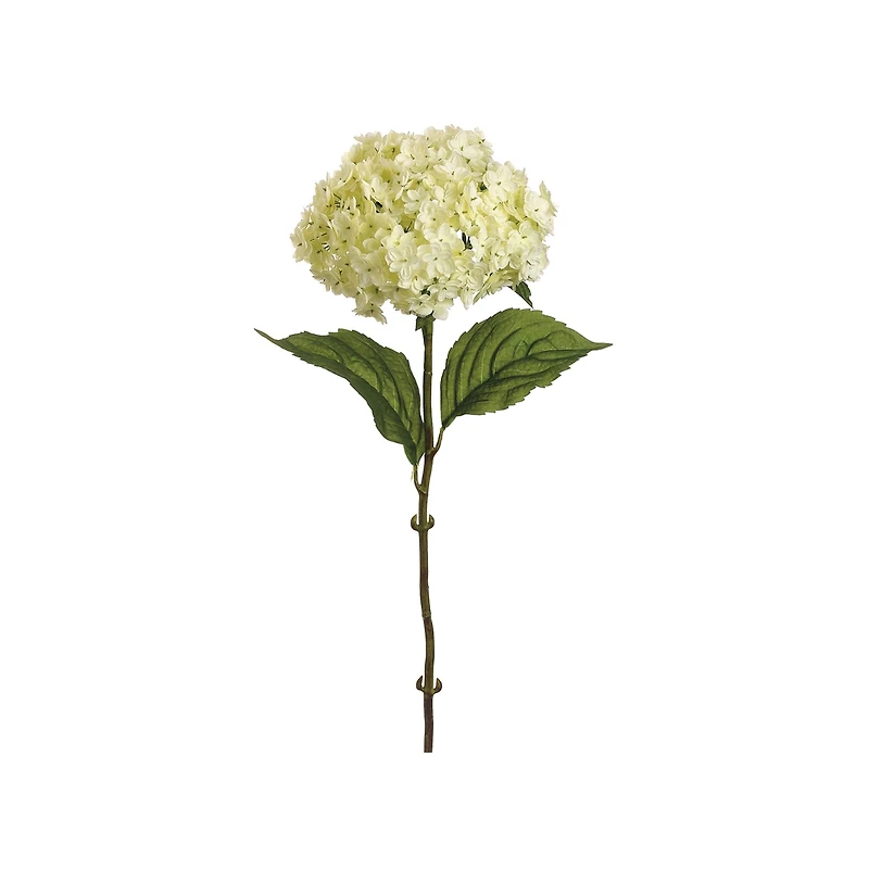 24 Pack: Cream Hydrangea Spray