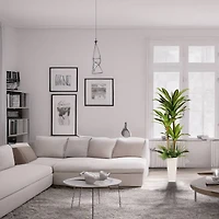 6ft. Artificial Dracaena Fragrans Tree in White Decorative Pot