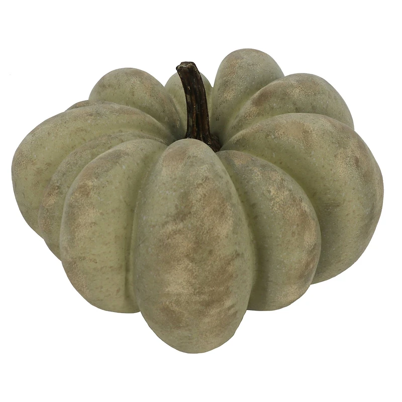 12" Sage with White Wash Decorative Pumpkin by Ashland®