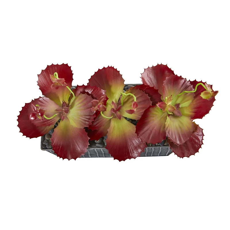 10" Succulent Plant in Embossed Tin Planter