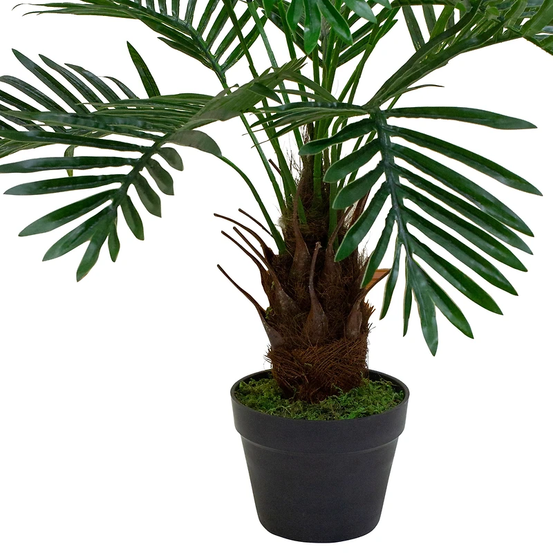3ft. Potted Green Palm Plant
