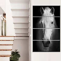 Designart - White Horse Black and White