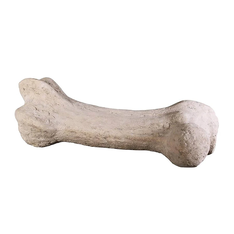 Design Toscano 3.5ft. Gigantic Dinosaur Bone Sculpture