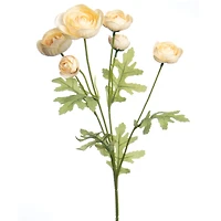 23.5" Peach Ranunculus Stem by Ashland®