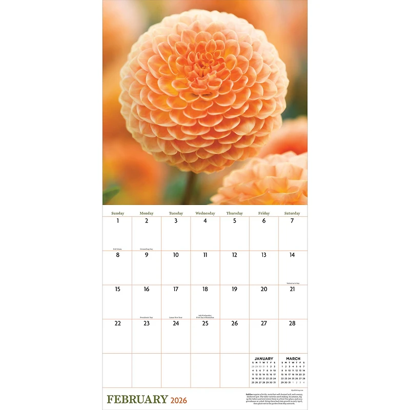 2026 Flowers Wall Calendar