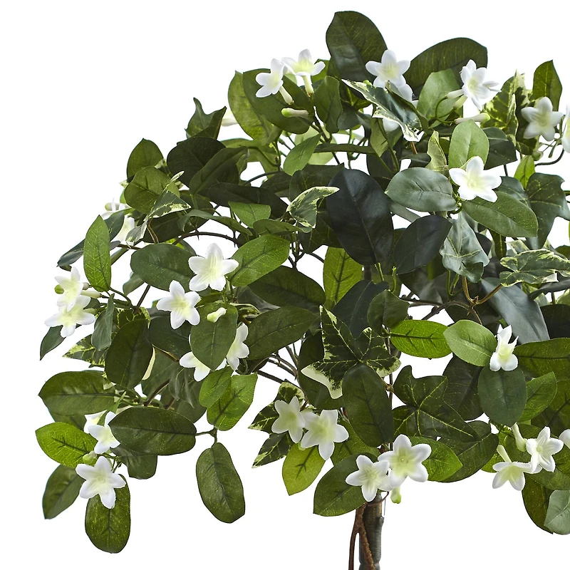 3ft. White Stephanotis Topiary In Planter