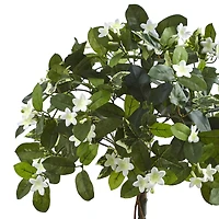 3ft. White Stephanotis Topiary In Planter