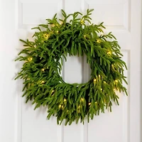 20in. Pre-Lit Artificial Real Touch Norfolk Island Pine Wreath with 35 Warm White LED Lights and Natural Look