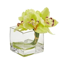 8" Boat Orchid Arrangement in Glass Vase